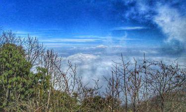 Hotel Thimphu Le Medine- Hotels In Thimphu