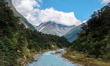 Hotel Thimphu Le Medine- Hotels In Thimphu