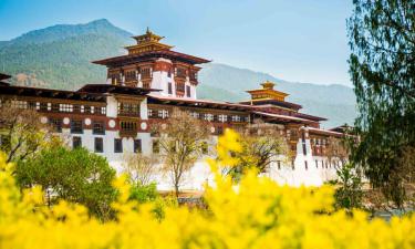 Hotel Thimphu Le Medine- Hotels In Thimphu