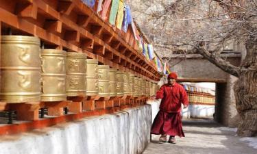 Hotel Thimphu Le Medine- Hotels In Thimphu