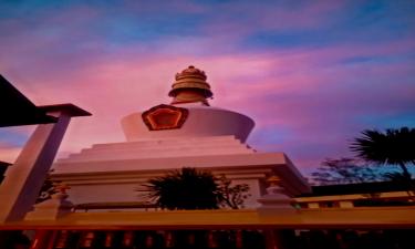 Hotel Thimphu Le Medine- Hotels In Thimphu