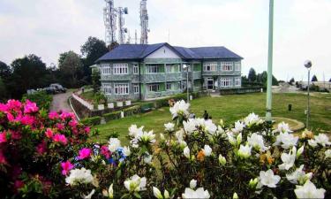 Hotel Thimphu Le Medine- Hotels In Thimphu