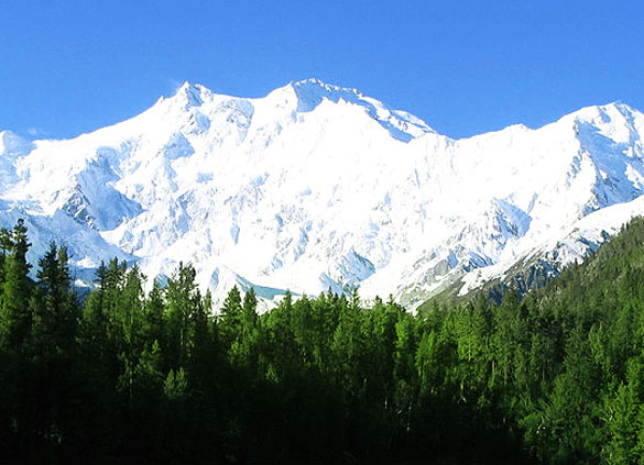 TRIP RISING-explore with us